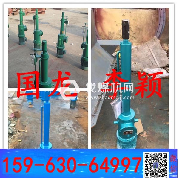 國龍-電液動推桿DYTZ2000-1400； DYTZ500-300相看兩不厭
